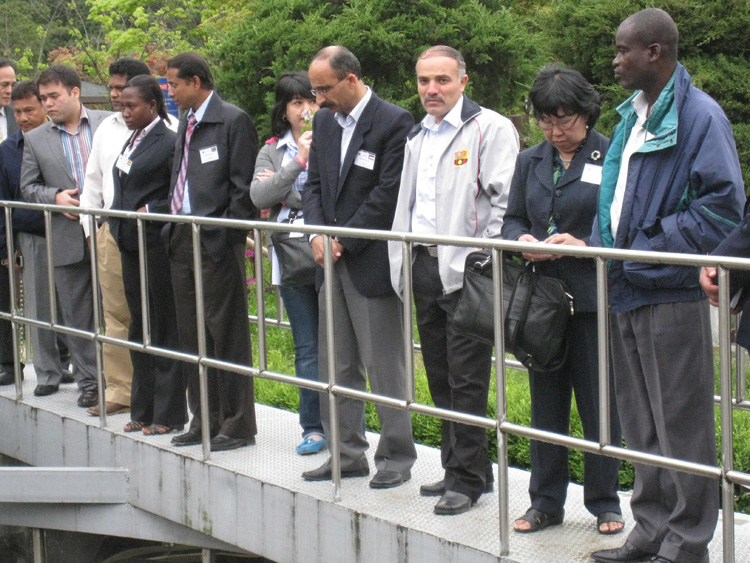 20100525_����ī �������[�����ֹ湮]2.JPG